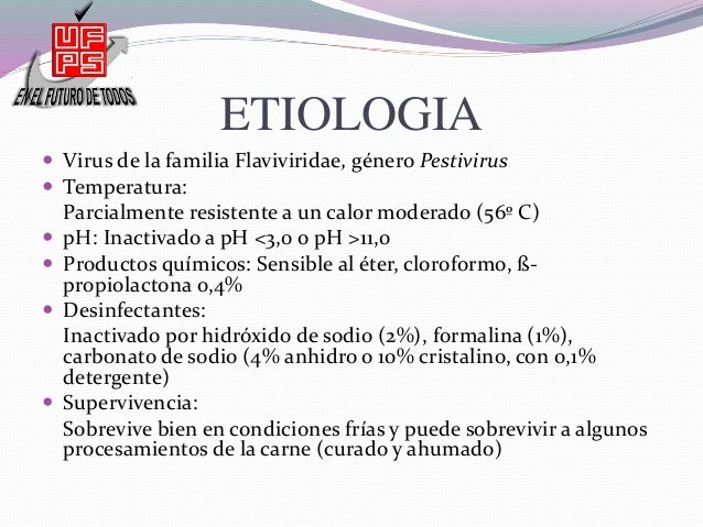 estreptococosis porcina